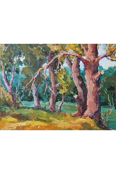 Czirjék Lajos: Öreg fák