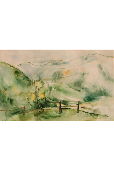 Fábián Irén: Gyergyóban, 1984